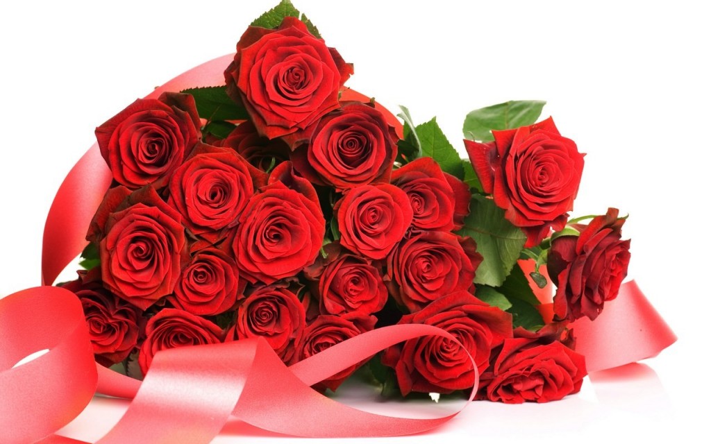 hình ảnh  kết cấu Nền mẫu Trang trí bông hồng sáng màu hình nền Hoa  hồng vườn Hồng Gia đình tăng trái cam thực vật có hoa Lệnh hoa hồng  Cánh